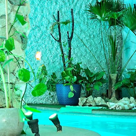 Mayan Majesty Boutique Hotel バリャドリッド エクステリア 写真