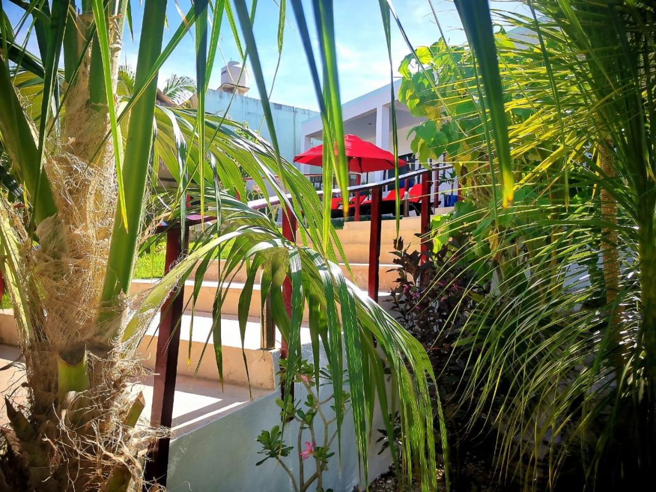 Mayan Majesty Boutique Hotel バリャドリッド エクステリア 写真